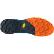 Buty męskie DYNAFIT TRANSALPER GTX BLUEBERRY / STORM BLUE
