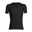 Koszulka męska ICEBREAKER ANATOMICA SHORT SLEEVE V 