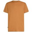 Koszulka męska merino ICEBREAKER COOL-LITE SPHERE III SS TEE