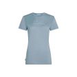 Koszulka damska merino ICEBREAKER TECH LITE SS TEE SPARKLING STA
