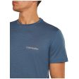 Koszulka męska merino ICEBREAKER TECH LITE SHORT SLEEVE LOW CREWE WORDMARK
