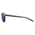 Okulary JULBO FAME SPECTRON 3 CF / GRAY / GOLD (J5091120)