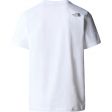 T-shirt męski THE NORTH FACE MOUNTAIN LINE TEE