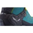Buty damskie SALEWA RAPACE GTX