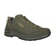 Buty męskie LOWA RENEGADE EVO GTX LOW