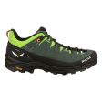 Buty męskie SALEWA ALP TRAINER 2 