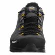 Buty męskie SALEWA ALP TRAINER 2 GTX