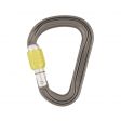 Karabinek DMM PHANTOM HMS SG NEW