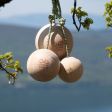 Chwyty treningowe Y&Y VERTICAL CLIMBING BALLS 12CM