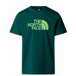 T-shirt męski THE NORTH FACE EASY TEE