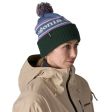 Czapka PATAGONIA POWDER TOWN - PARK STRIPE