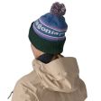 Czapka PATAGONIA POWDER TOWN - PARK STRIPE