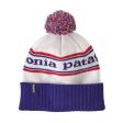 Czapka PATAGONIA POWDER TOWN - PARK STRIPE