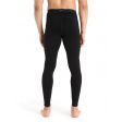 Getry męskie ICEBREAKER MERINO TECH 260 LEGGINGS THERMAL WITH FLY