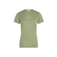 Koszulka damska merino ICEBREAKER TECH LITE SS TEE SPARKLING STA