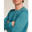 Koszulka męska ICEBREAKER TECH 260 LS CREWE