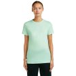 Koszulka damska merino ICEBREAKER TECH LITE III SS HIKE PATH