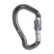 Karabinek BEAL BE LINK SCREW