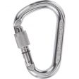 Karabinek CLIMBING TECHNOLOGY SNAPPY CF SG / SILVER