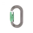 Karabinek DMM PERFECTO LOCKSAFE