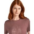 Koszulka damska merino ICEBREAKER TECH LITE III SS TEE VAN CAMP