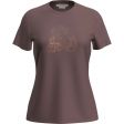 Koszulka damska merino ICEBREAKER TECH LITE III SS TEE VAN CAMP