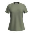Koszulka damska merino ICEBREAKER TECH LITE SS TEE SINGLE LINE CAMP