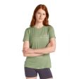 Koszulka damska merino ICEBREAKER TECH LITE SS TEE SINGLE LINE CAMP