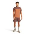 Koszulka męska merino ICEBREAKER COOL-LITE SPHERE III SS COLOUR BLOCK / DUSTY CLAY / CAROB