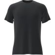 Koszulka męska merino ICEBREAKER COOL-LITE SPHERE III SS TEE