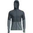 Kurtka męska ICEBREAKER MERINO 200 REALFLEECE DESCENDER LONG SLEEVE ZIP HOODIE