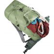 Plecak DEUTER TRAIL 30