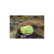 Organizer EXPED ZIP PACK UL S
