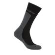 Skarpety męskie ICEBREAKER HIKE + MID 