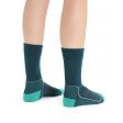 Skarpety damskie ICEBREAKER HIKE + LITE