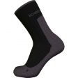 Skarpety męskie merino ICEBREAKER HIKE+ LIGHT CREW