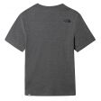 T-shirt męski THE NORTH FACE EASY TEE
