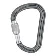 Karabinek PETZL WILLIAM SCREW LOCK (M36A) / SILVER