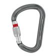 Karabinek PETZL WILLIAM SCREW LOCK (M36A) / SILVER