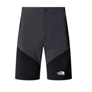 Szorty męskie THE NORTH FACE FELIK SLIM TAPERED