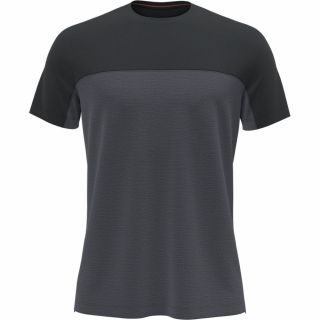 Koszulka męska merino ICEBREAKER COOL-LITE SPHERE III SS COLOUR BLOCK