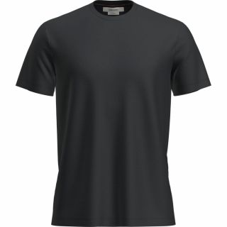 Koszulka męska merino ICEBREAKER TECH LITE III SS TEE