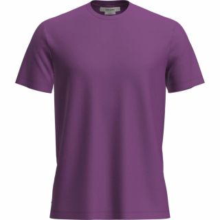 Koszulka męska merino ICEBREAKER TECH LITE III SS TEE