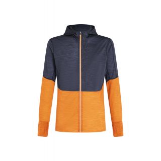 Kurtka męska ICEBREAKER MERINO 200 REALFLEECE DESCENDER LONG SLEEVE ZIP HOODIE / GRAPHITE RAY