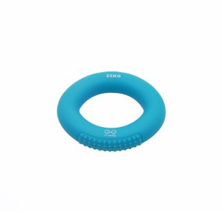 Przyrząd do ćwiczeń Y&Y VERTICAL CLIMBING RING BLUE 25KG