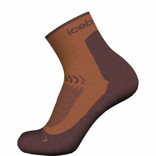 Skarpety damskie merino ICEBREAKER HIKE+ LIGHT MINI / DUSTY CLAY CAROB