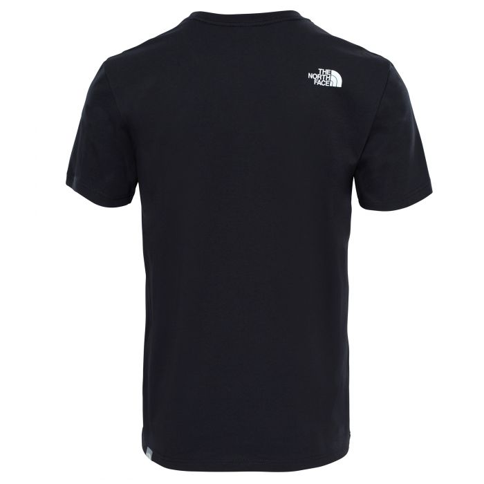 T-shirt męski THE NORTH FACE NSE TEE