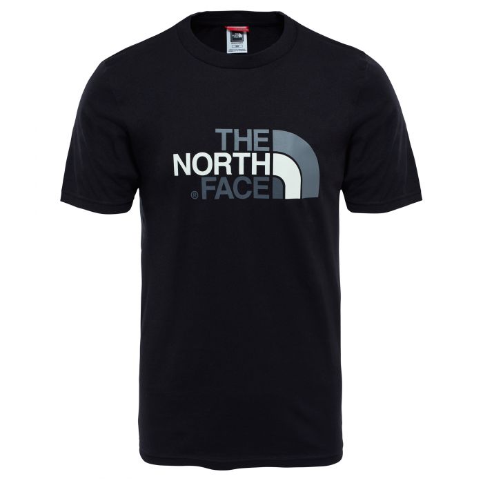 T-shirt męski THE NORTH FACE EASY TEE