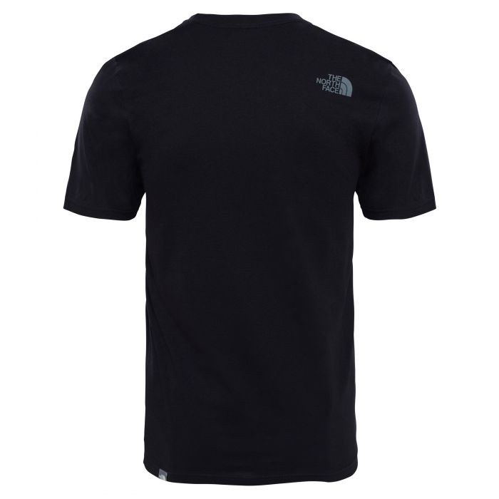 T-shirt męski THE NORTH FACE EASY TEE