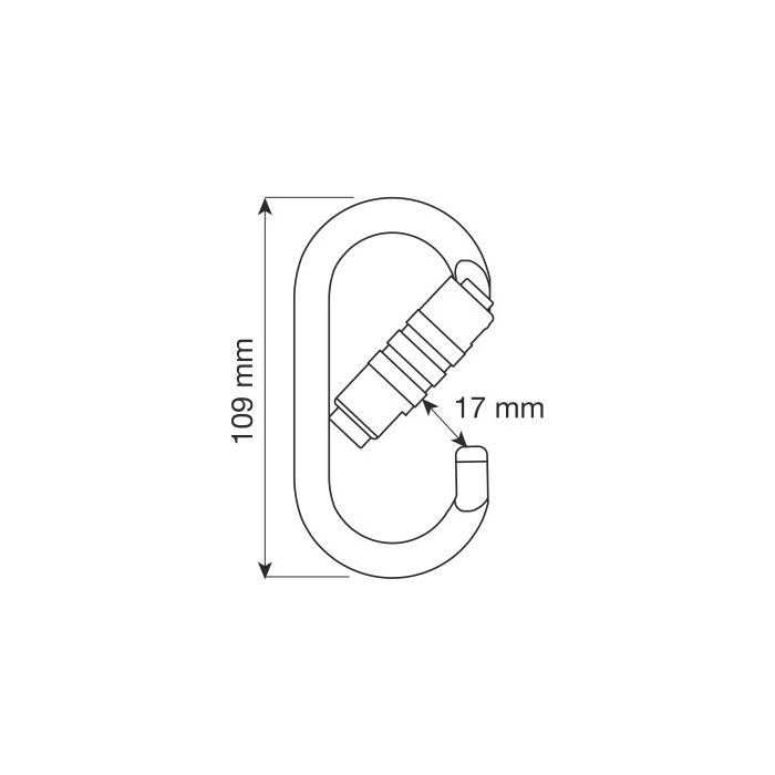 Karabinek CAMP OVAL PRO 2LOCK STALOWY